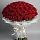 Букет 101 Красная роза Блэк Мэджик в Талах