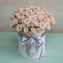 Цветочная композиция из Розы в шляпной коробке #REPLACE_PRED# Талах