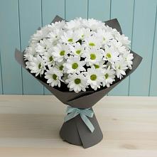Букет цветов из:  Хризантемы #REPLACE_PRED# Талах