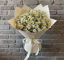 Букет цветов из:  Ромашки в Талах
