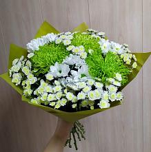 Букет цветов из:  Хризантемы #REPLACE_PRED# Талах