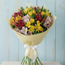 Букет цветов из:  Альстромерии в Талах