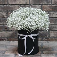 Цветочная композиция из Гипсофила в шляпной коробке #REPLACE_PRED# Талах