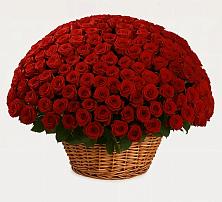 Премиум букет из: Розы в Талах