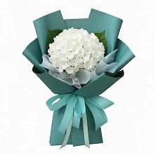 Букет цветов из:  Гортензия в Талах